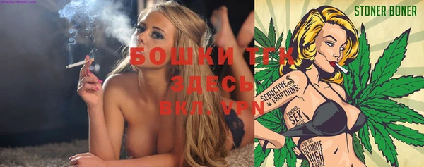 молекула духа Новозыбков