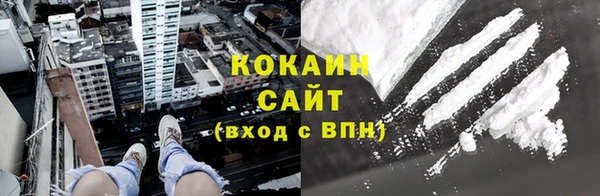 молекула духа Новозыбков