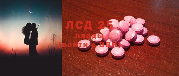 молекула духа Новозыбков